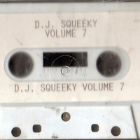 DJ Squeeky - Vol. 7