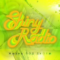 Shiny Radio -   