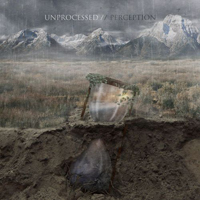 Unprocessed - Perception (EP)
