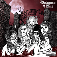 Splintered Halo - The Splintered Minds Asylum