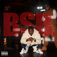 Troy Ave - BSB Vol. 2