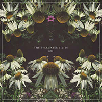 Stargazer Lilies - Lost