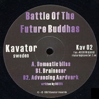 Battle of the Future Buddhas - Domestic Bliss / Brainscar (EP)