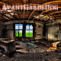 AvantGardeDog - AvantGardeDog