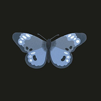 Garrels, Josh - Butterfly (Sinlgle)