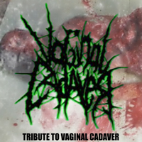 Cum Book - Tribute to Vaginal Cadaver