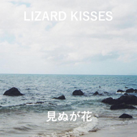 Lizard Kisses - Not Seeing Is A Flower
