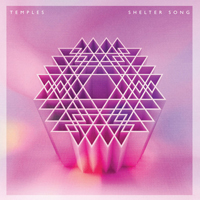 Temples - Shelter Song (Leftside Wobble Rocks The Discoteque Mix) (Single)