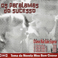 Os Paralamas do Sucesso - O Amor Nao Sabe Esperar (Remixes Single)