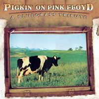 Pickin' On... - Pickin' On... (CD 21: Pickin' On Pink Floyd)
