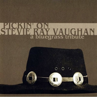 Pickin' On... - Pickin' On... (CD 24: Pickin' On Stevie Ray Vaughan)