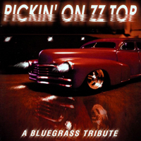 Pickin' On... - Pickin' On... (CD 29: Pickin On ZZ Top)