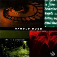 Harold Budd - She Is A Phantom