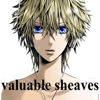 VALSHE - Valuable Sheaves