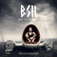 Bass Sultan Hengzt - Endlich Erwachsen (Premium Edition) [CD 3: Instrumental]