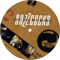 Buzzcocks - Sell You Everything (Single)