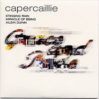 Capercaillie - Grace And Pride - The Anthology (2004-1984) (CD 2)