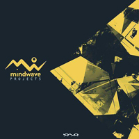 Mindwave - Project 5