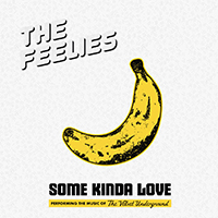 Feelies - Some Kinda Love: Performing The Music Of The Velvet Underground