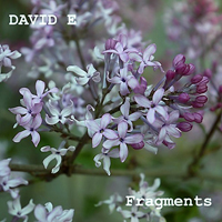 David E - Fragments