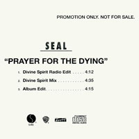 Seal - Prayer For The Dying [promo]