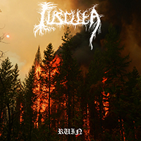 Cuscuta - Ruin