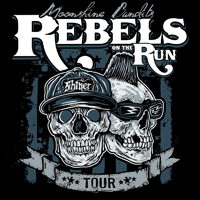 Moonshine Bandits - Rebels on the Run