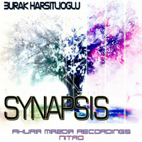 Harsitlioglu, Burak - Synapsis Web (Single)