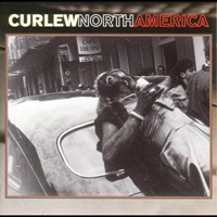 Curlew - North America