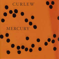 Curlew - Mercury