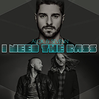 Alok - I Need The Bass (with Sevenn) (Single)