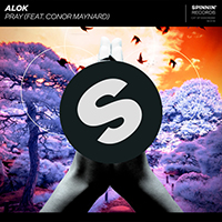 Alok - Pray (feat. Conor Maynard) (Single)