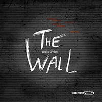 Alok - The Wall (with Sevenn) (Single)