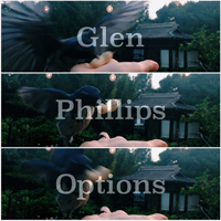 Phillips, Glen - Options: B-sides & Demos