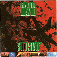 Head Of David - Seed State