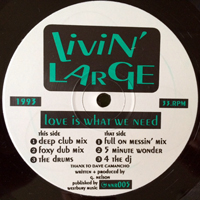 Livin' Large - Love Is What We Need (12'' Single)