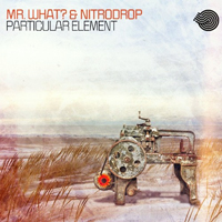 Mr. What - Particular Element (EP)