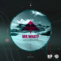 Mr. What - Waves On Water (Single)