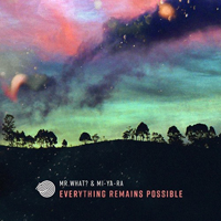 Mr. What - Everything Remains Possible (Single)