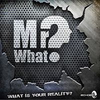 Mr. What - What Is Your Reality (EP)