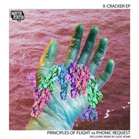 Principles of Flight - X Cracker (EP)