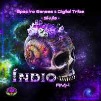 Spectro Senses - Skulls (Indio Rmx) (Single)
