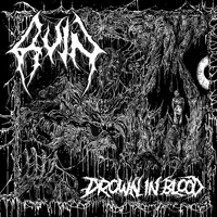 Ruin (USA) - Drown In Blood