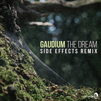 Gaudium - The Dream (Side Effects Remix) [Single]