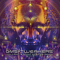 GMS - Tweakers (Volcano & Sonic Species Remix) [Single]