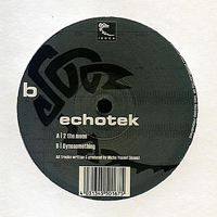 Echotek - 2 The Moon [12'' Single]