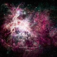 Wonders Of Nature - Nebula