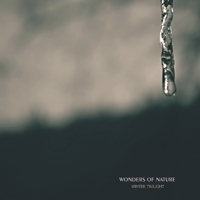 Wonders Of Nature - Winter Twilight