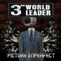 3rd World Leader - Picture Imperfect