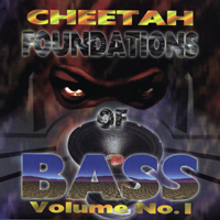 DJ Magic Mike - Foundations Of Bass